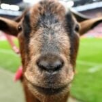 เกม สล็อต แตก ง่าย ล่าสุด ที่มาแรงในปีนี้!